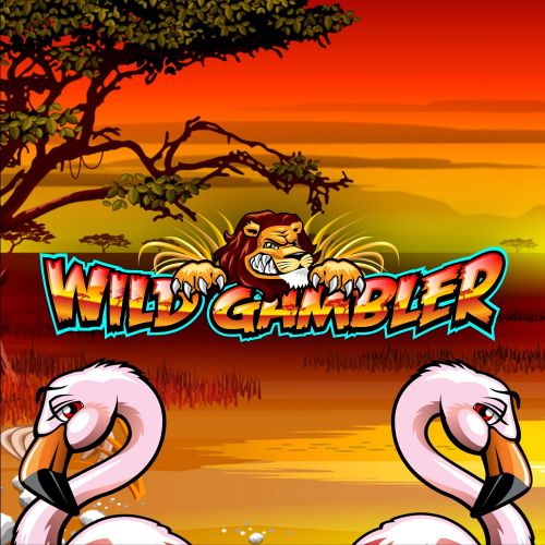 Wild Gambler